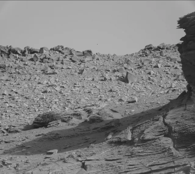 Sol 3331: Mast Camera (Mastcam)
