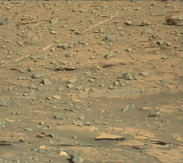 Sol 3331: Mast Camera (Mastcam)