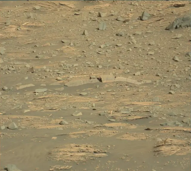 Sol 3331: Mast Camera (Mastcam)