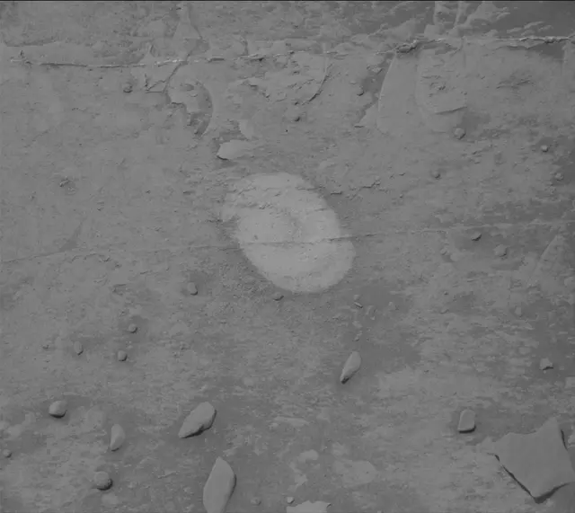 Sol 3331: Mast Camera (Mastcam)