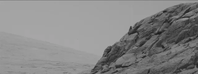 Sol 3344: Mast Camera (Mastcam)