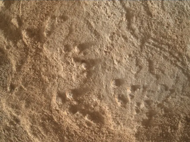 Sol 3344: Mars Hand Lens Imager (MAHLI)