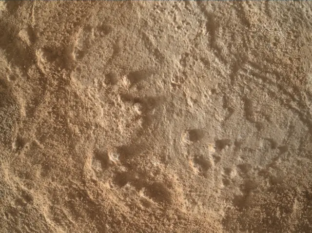 Sol 3344: Mars Hand Lens Imager (MAHLI)