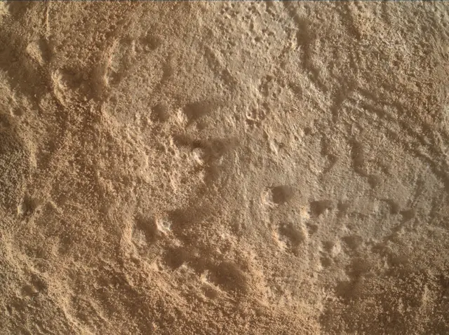 Sol 3344: Mars Hand Lens Imager (MAHLI)