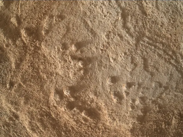 Sol 3344: Mars Hand Lens Imager (MAHLI)