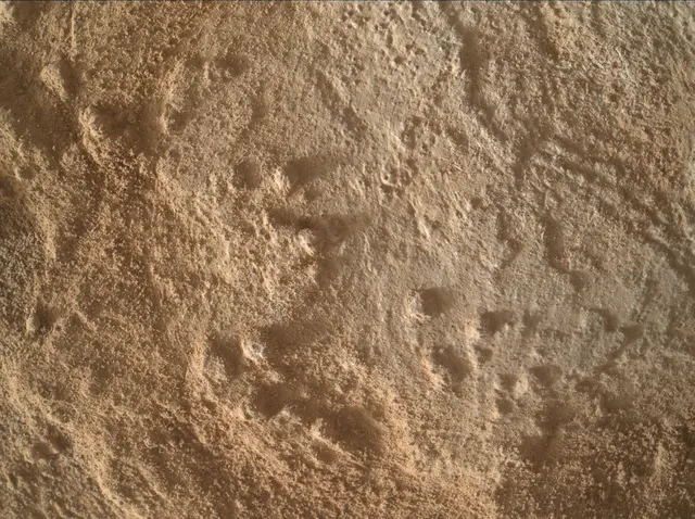 Sol 3344: Mars Hand Lens Imager (MAHLI)