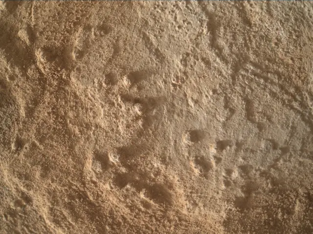 Sol 3344: Mars Hand Lens Imager (MAHLI)