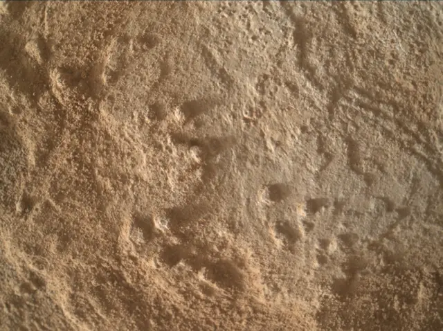 Sol 3344: Mars Hand Lens Imager (MAHLI)