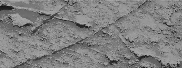 Sol 3345: Mast Camera (Mastcam)