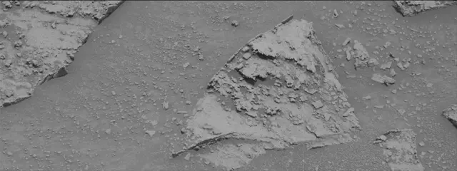 Sol 3345: Mast Camera (Mastcam)