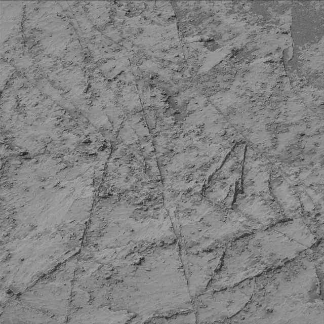 Sol 3345: Mast Camera (Mastcam)
