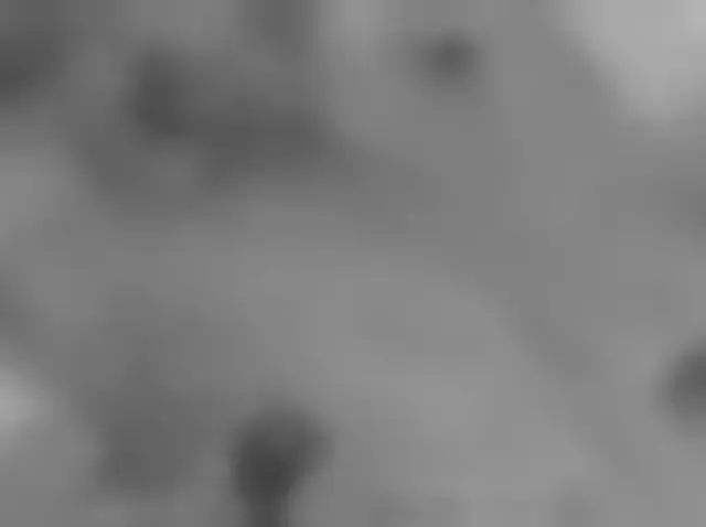 Sol 3347: Mars Hand Lens Imager (MAHLI)