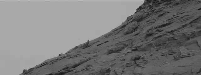 Sol 3355: Mast Camera (Mastcam)