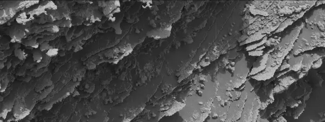 Sol 3355: Mast Camera (Mastcam)