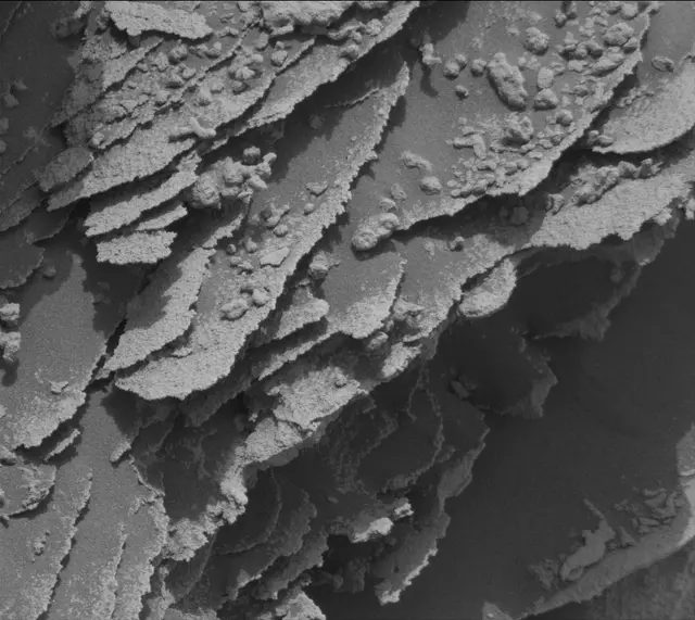 Sol 3355: Mast Camera (Mastcam)