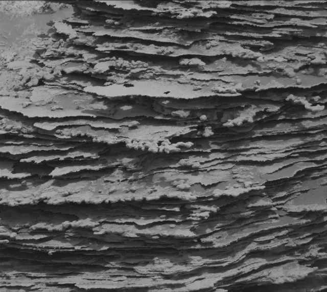 Sol 3357: Mast Camera (Mastcam)