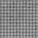 Sol 3359: Mast Camera (Mastcam)