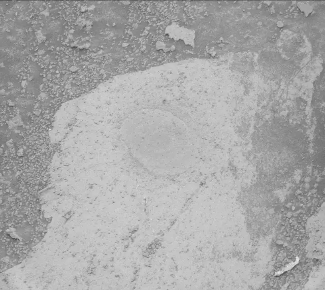 Sol 3359: Mast Camera (Mastcam)