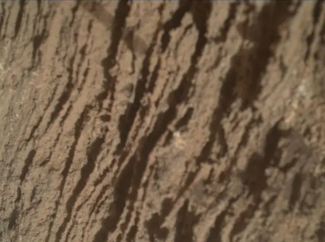 Sol 3362: Mars Hand Lens Imager (MAHLI)