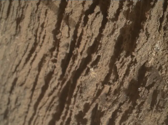 Sol 3362: Mars Hand Lens Imager (MAHLI)