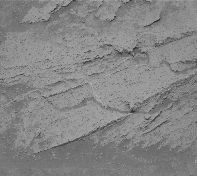 Sol 3365: Mast Camera (Mastcam)