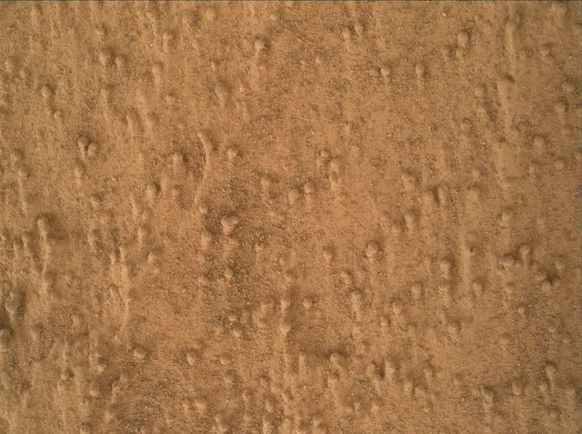 Sol 3365: Mars Hand Lens Imager (MAHLI)