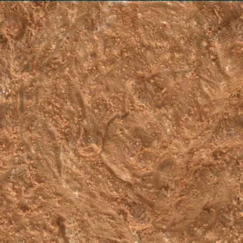 Sol 3371: Mars Hand Lens Imager (MAHLI)