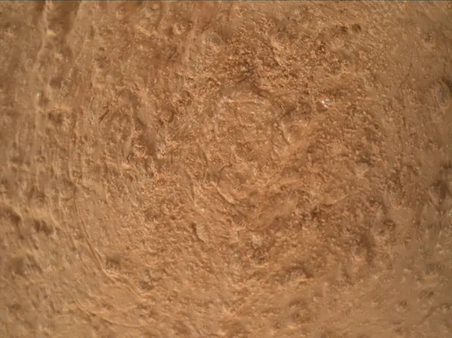 Sol 3371: Mars Hand Lens Imager (MAHLI)
