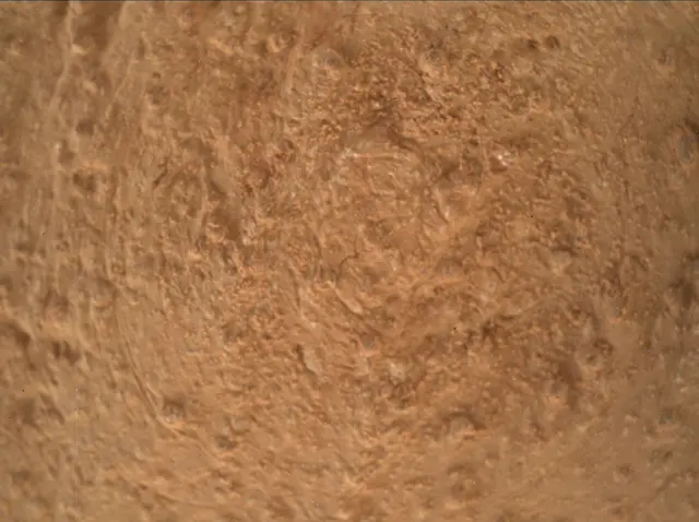 Sol 3371: Mars Hand Lens Imager (MAHLI)