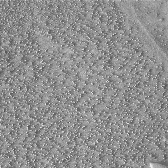 Sol 3381: Mast Camera (Mastcam)