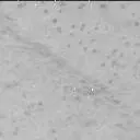 Sol 3390: Mast Camera (Mastcam)