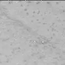 Sol 3390: Mast Camera (Mastcam)