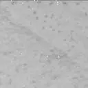 Sol 3390: Mast Camera (Mastcam)