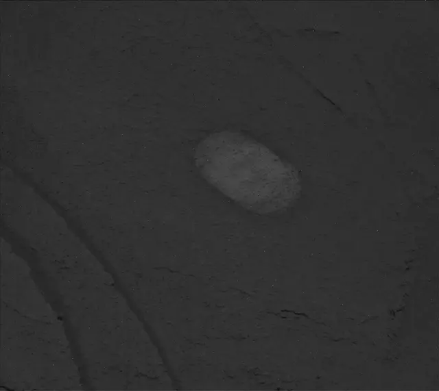 Sol 3390: Mast Camera (Mastcam)