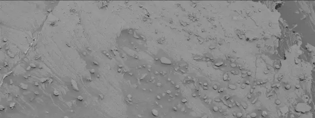 Sol 3395: Mast Camera (Mastcam)