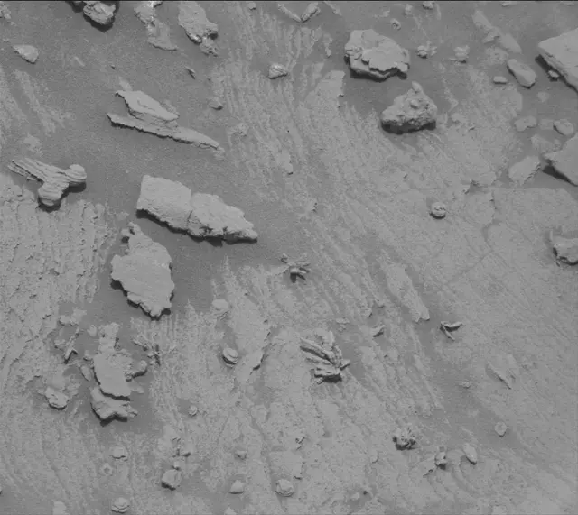 Sol 3395: Mast Camera (Mastcam)