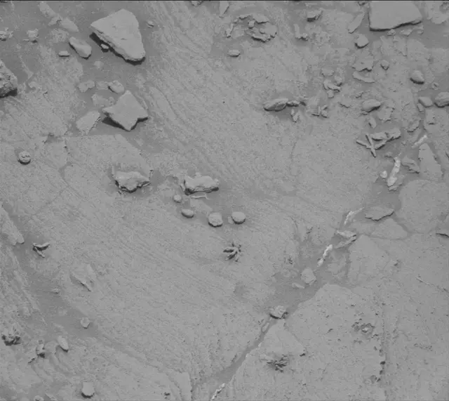 Sol 3395: Mast Camera (Mastcam)
