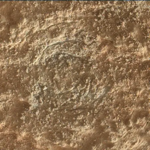 Sol 3395: Mars Hand Lens Imager (MAHLI)