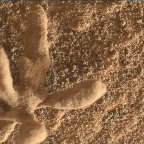 Sol 3396: Mars Hand Lens Imager (MAHLI)