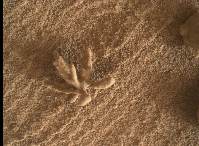 Sol 3396: Mars Hand Lens Imager (MAHLI)