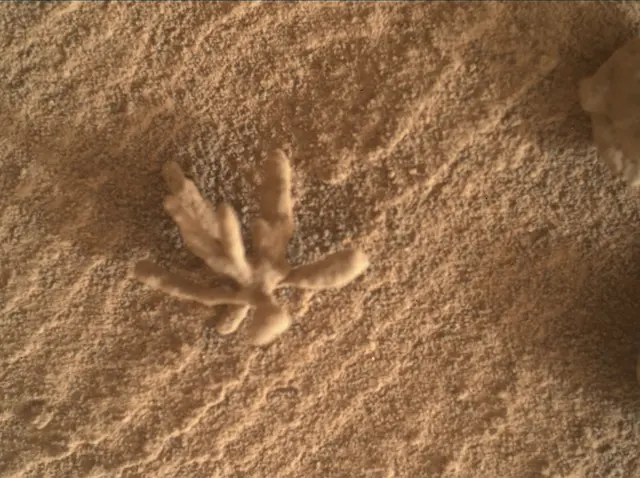 Sol 3396: Mars Hand Lens Imager (MAHLI)