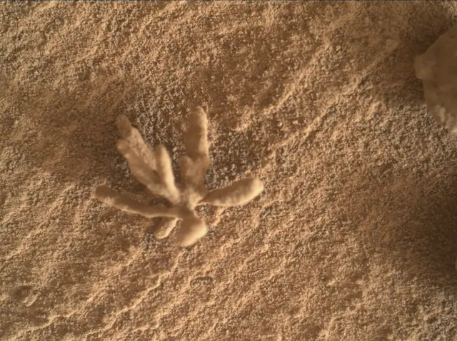 Sol 3396: Mars Hand Lens Imager (MAHLI)