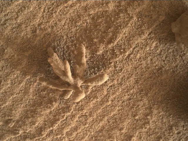 Sol 3396: Mars Hand Lens Imager (MAHLI)