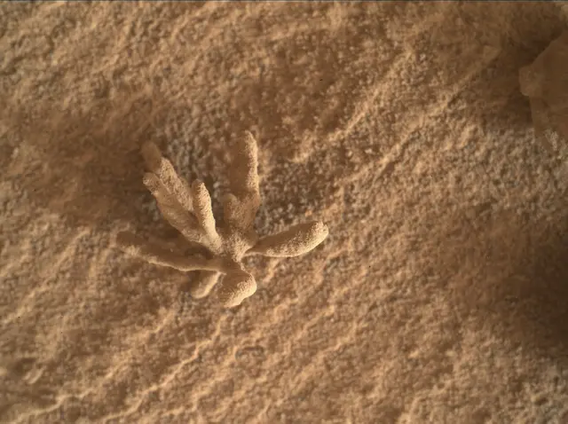 Sol 3396: Mars Hand Lens Imager (MAHLI)