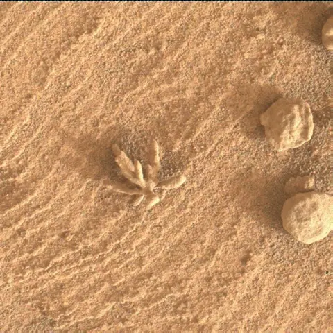 Sol 3396: Mars Hand Lens Imager (MAHLI)