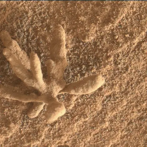 Sol 3396: Mars Hand Lens Imager (MAHLI)