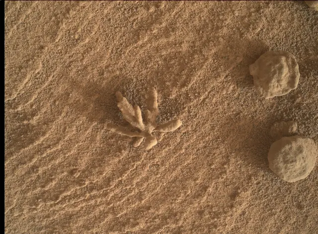 Sol 3396: Mars Hand Lens Imager (MAHLI)