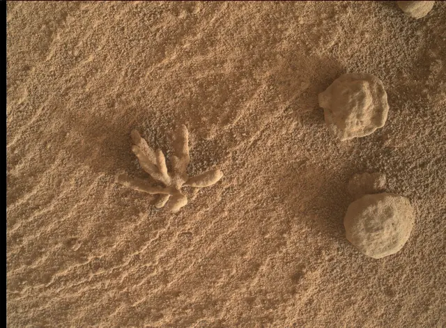 Sol 3396: Mars Hand Lens Imager (MAHLI)