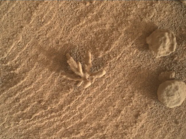 Sol 3396: Mars Hand Lens Imager (MAHLI)