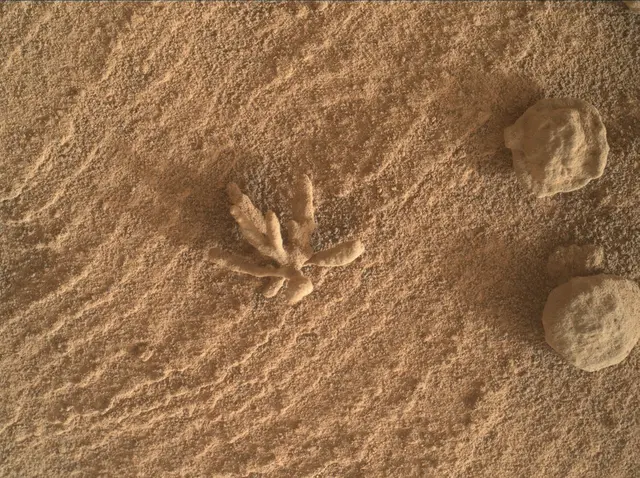 Sol 3396: Mars Hand Lens Imager (MAHLI)